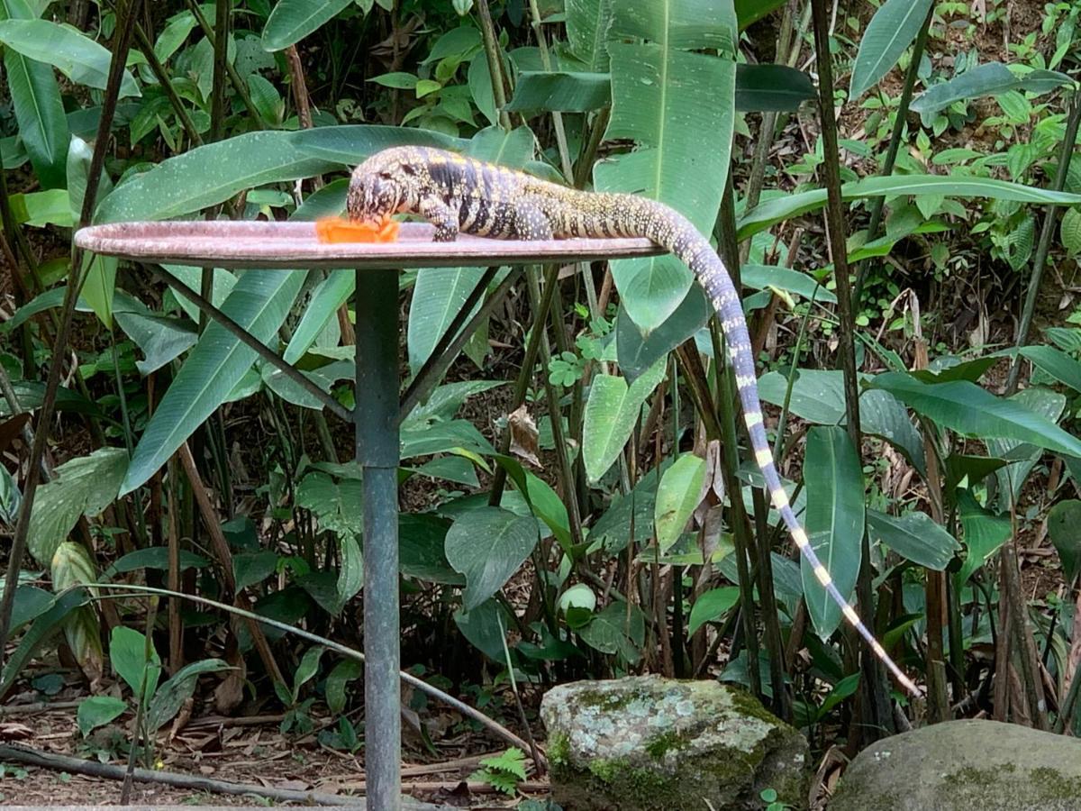 Estalagem Pousada Penedo Penedo (Rio de Janeiro)